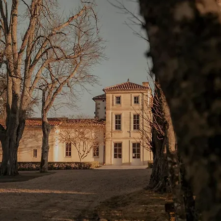 Chateau Fonroque - Camomille Saint-Émilion