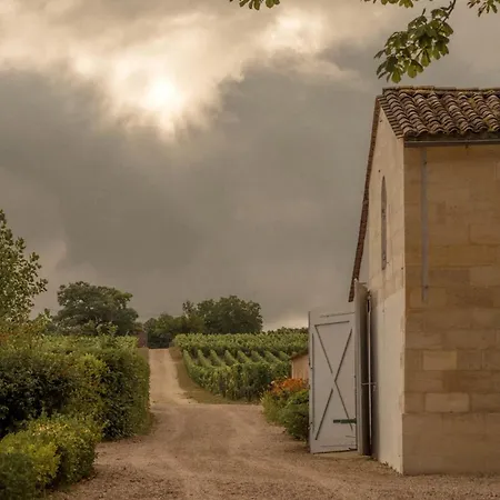 Chateau Fonroque - Camomille * Saint-Émilion